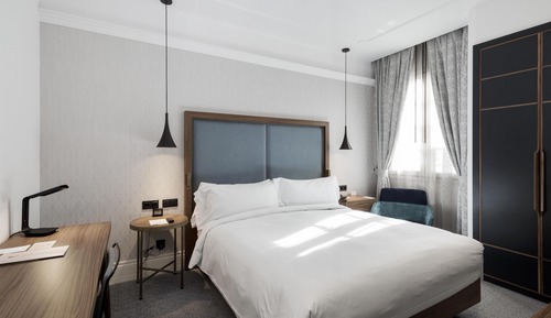 Room, 1 King Bed