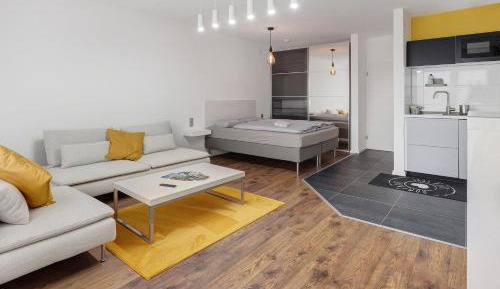 Studio with Sofa Bed