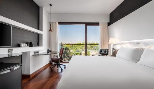 King Room with Urban View