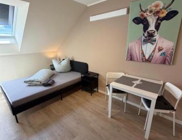 Double Room with Shared Bathroom
