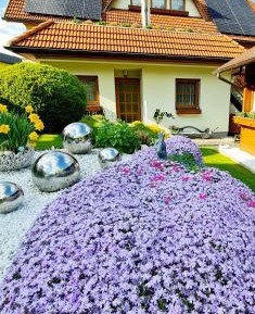 One-Bedroom Apartment with Garden View