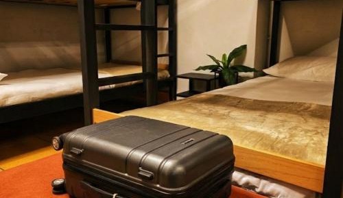 Bed in 8-Bed Mixed Dormitory Room