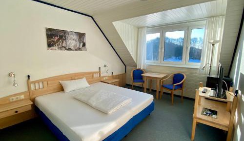 Single Room with Garden View