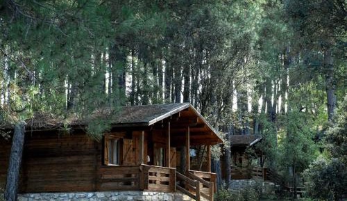 Wood Cabin (4 adults)