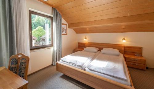 Double Room with Mountain View