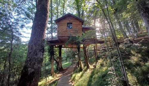Bungalow Mountain View