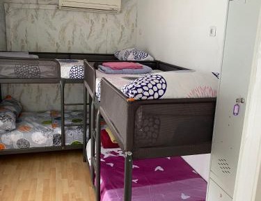 Bed in 4-Bed Mixed Dormitory Room