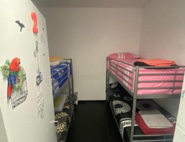 Bed in 4-Bed Mixed Dormitory Room