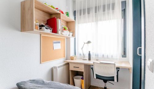 Economy Single Room