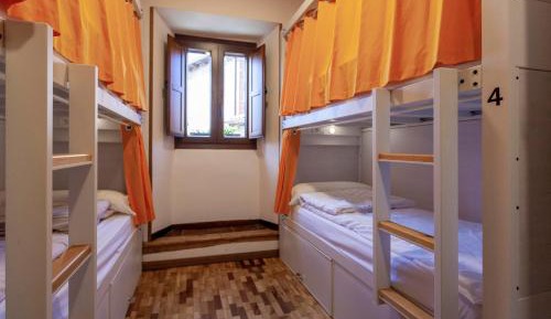 Bunk Bed in Mixed Dormitory Room
