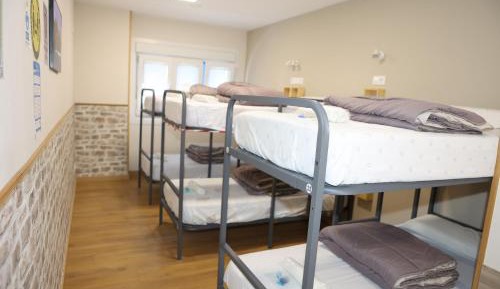 Bunk Bed in Mixed Dormitory Room