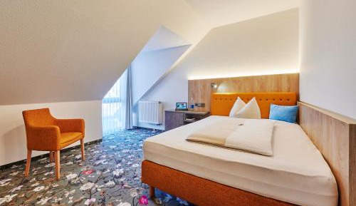 Superior Single Room