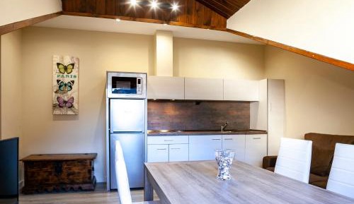 Duplex Apartment