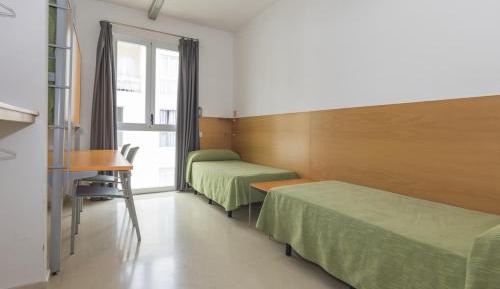 Bed in 3-Bed Dormitory Room