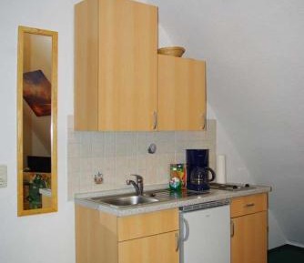 Penthouse Apartment