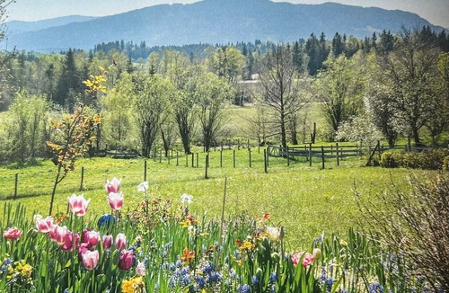 Bad Toelz Other | Old farmhouse with mountain views Wellness area with sauna and pool