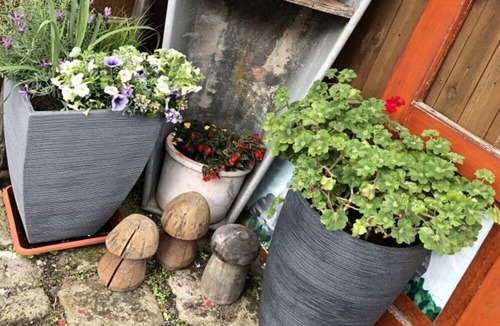 Rathmannsdorf Apartment | Holidays in the circumcourse and
