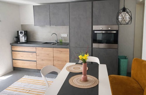 Hirschaid Apartment | Summer garden apartment for travelers with dog basement
