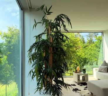 Lanhelas House | Ednas Place - Tranquilidade e Natureza