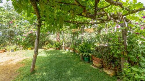 Jubrique House | El Olivarito Jubrique by Ruralidays