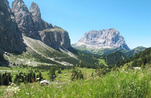Santa Cristina Val Gardena Apartment | Apartment Ornella-4 by Interhome