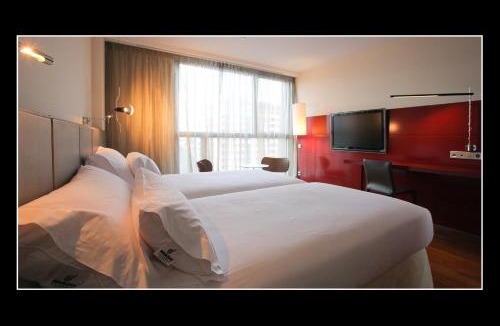 Romareda Hotel | Hotel Reina Petronila
