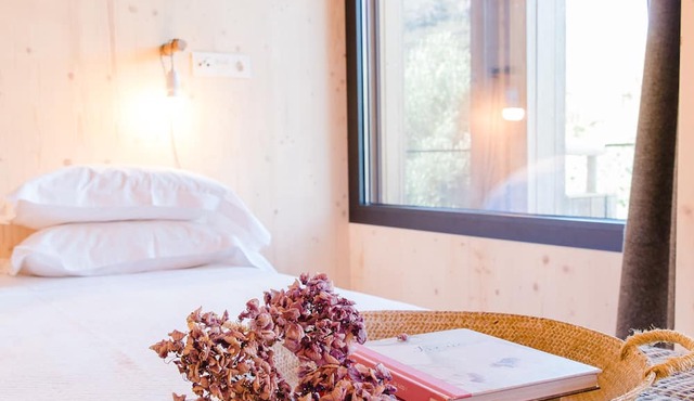 The Nest By Cooking and Nature